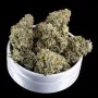 Сорт семян каннабиса Auto Rhino Ryder Feminised Silver