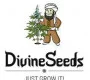 Divine Seeds