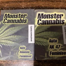 Auto Death Russian Feminised