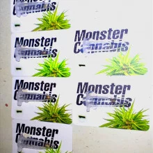 Auto Big Bang Feminised