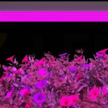 Suspend LED Phytolight LED-Light 150W L-150