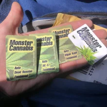 Auto AK 47 Feminised