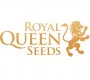 ROYAL QUEEN SEEDS