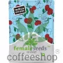 Cherry Pie Feminised