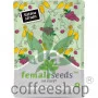 Mimosa Champagne Feminised