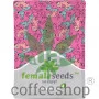 SexBud (X-line) Feminised