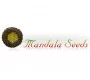 Mandala Seeds