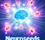 Neuroseeds