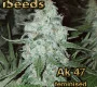 iSeeds