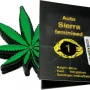 Auto Sierra feminised