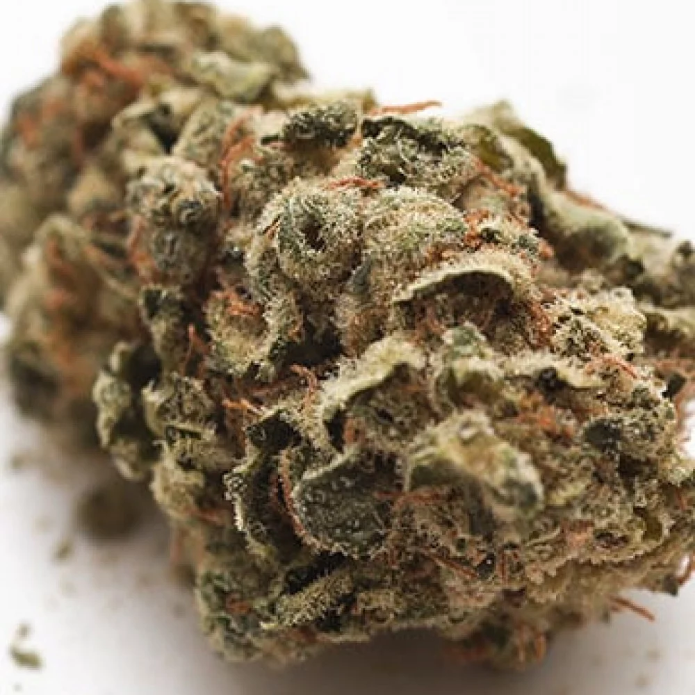 Сорт насіння канабісу Sour Diesel Feminised Silver Сорт насіння канабісу Sour Diesel Feminised Silver