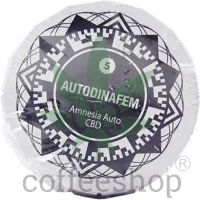 Auto Amnesia CBD Feminised