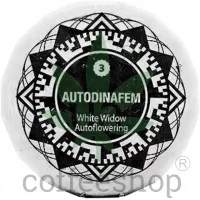 Auto White Widow Feminised Dinafem