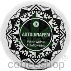 Auto White Widow Feminised