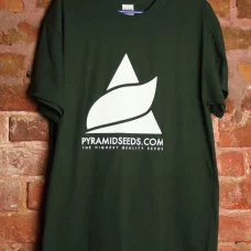 Футболка PYRAMIDSEEDS