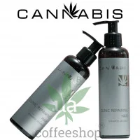 Shampoo concentrate for hair
