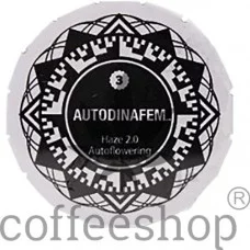 Auto Haze 2.0 Feminised