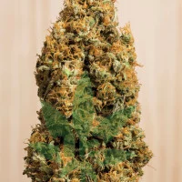 Green Crack CBD