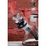 Bong glass ILL 01