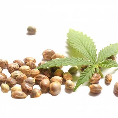 Встигни вибрати