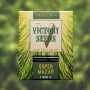 Насіння конопель SUPER MAZAR від Victory Seeds