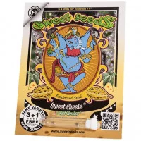 SWEET CHEESE F1 FAST VERSION®