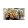 Cannabis seeds AUTO THINK BIG® from Dutch Passion