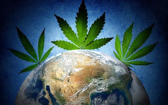 планета марихуаны нет